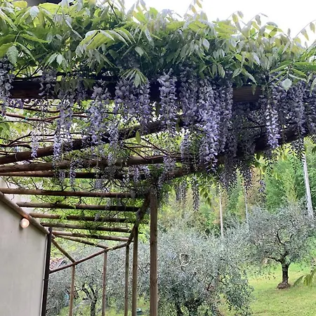 Holiday home Private Tuscan Estate Bagnone